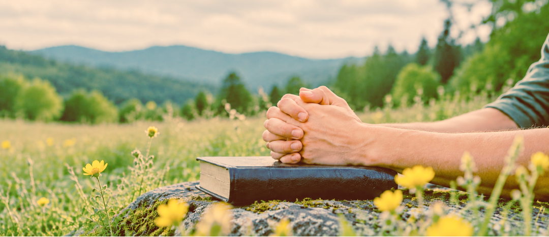 Hands clasped in prayer resting on a Bible in a sunny meadow